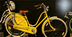 ������ �������